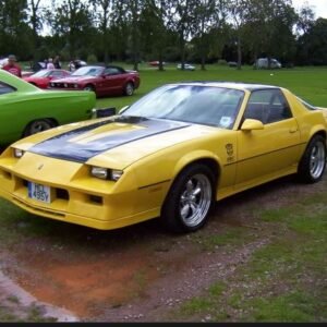 1983 Chevrolet Camaro Service and Repair Manual